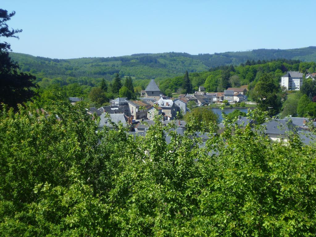 La Maison Du Marchand Peyrat-le-Chateau Номер фото