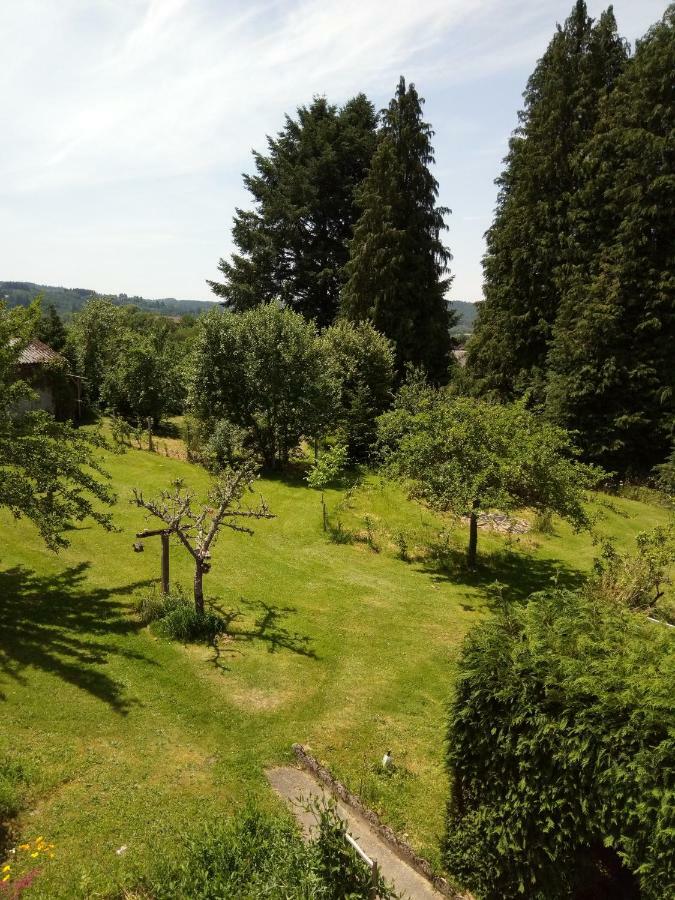 La Maison Du Marchand Peyrat-le-Chateau Экстерьер фото